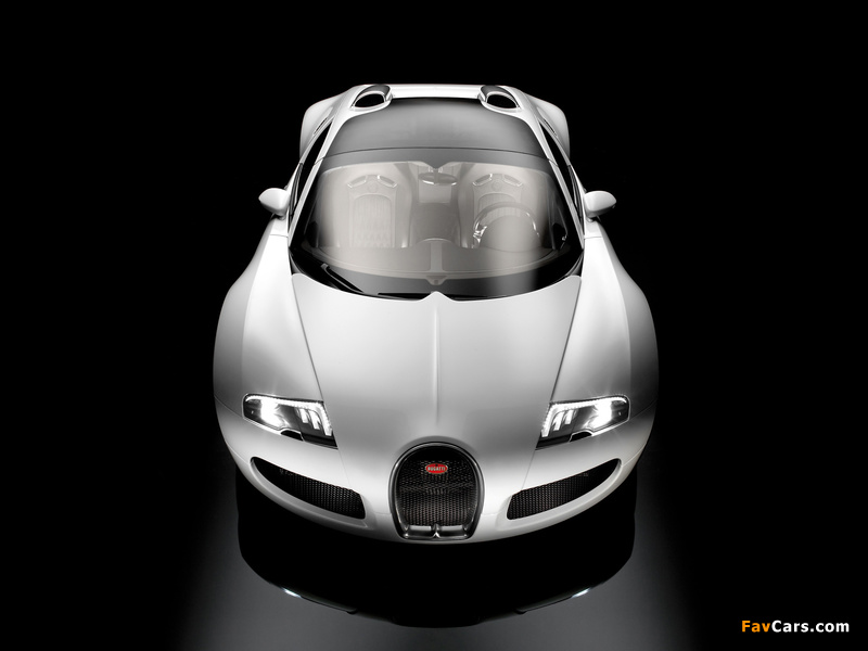 Bugatti Veyron Grand Sport Roadster 2008 pictures (800 x 600)