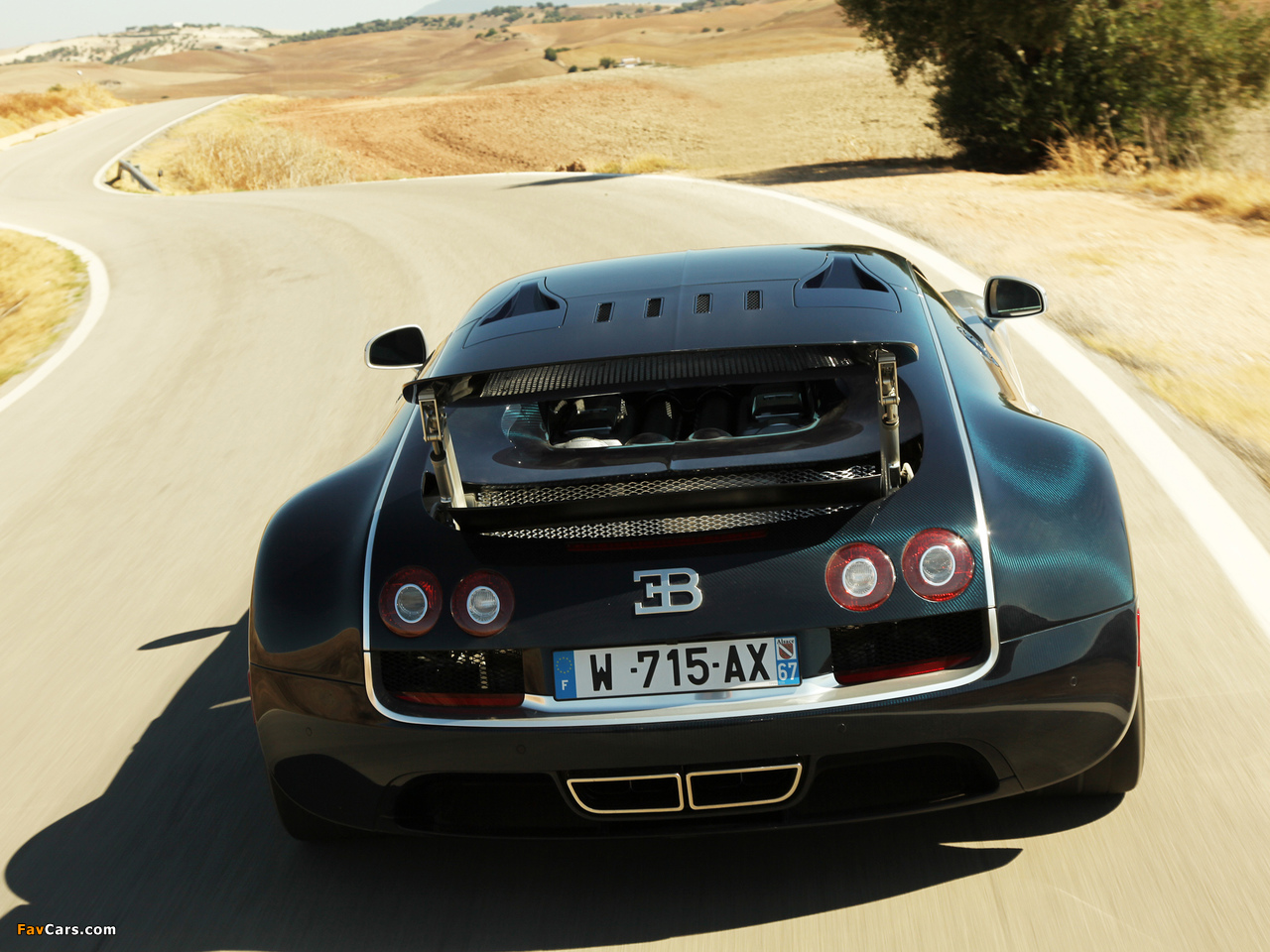 Bugatti Veyron 16.4 Super Sport 2010 pictures (1280 x 960)