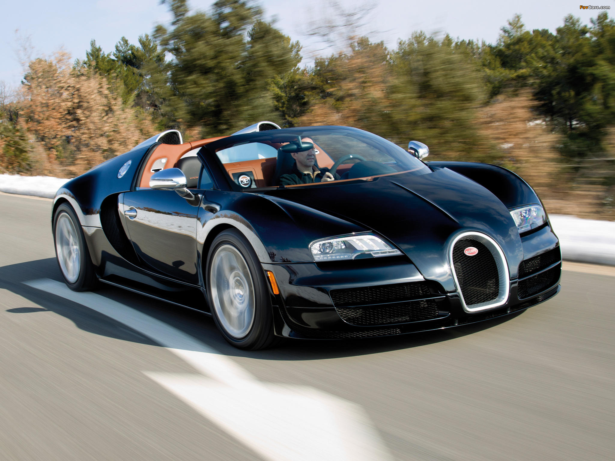 Bugatti Veyron Grand Sport Roadster Vitesse US-spec 2012 pictures (2048 x 1536)