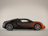 Bugatti Veyron Grand Sport Roadster Venet 2012 pictures