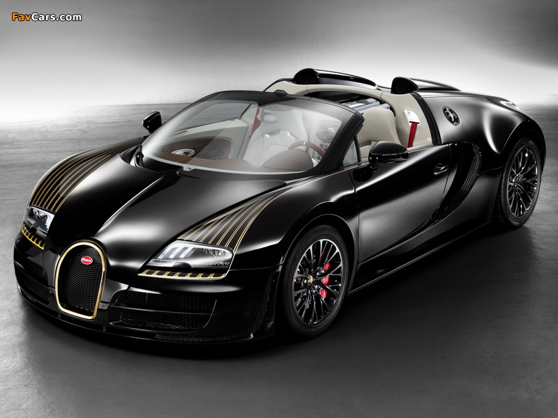 Bugatti Veyron Grand Sport Roadster Vitesse Black Bess 2014 pictures (800 x 600)