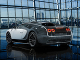 Mansory Bugatti Veyron Linea Vivere 2014 wallpapers