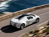 Images of Bugatti Veyron Grand Sport Roadster 2008