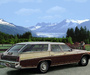 Buick Estate Wagon 1971 wallpapers