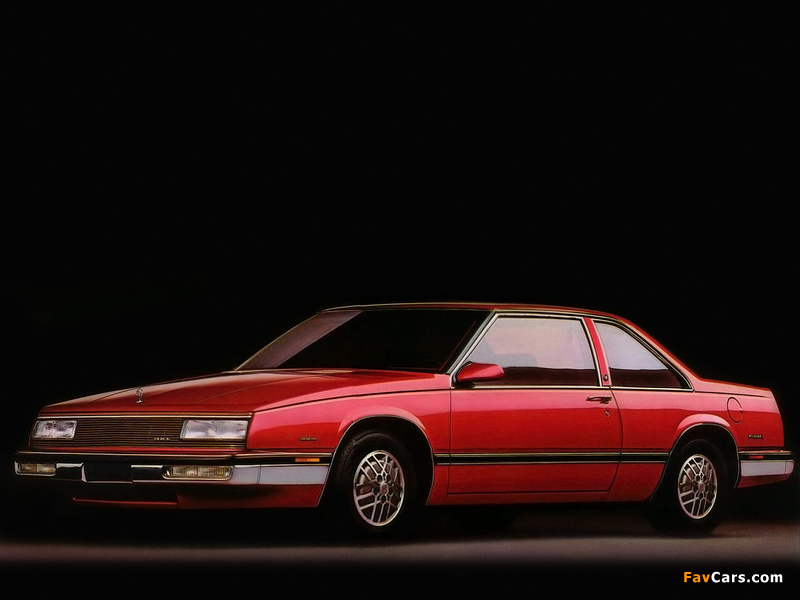Images of Buick LeSabre Coupe 1987–89 (800 x 600)