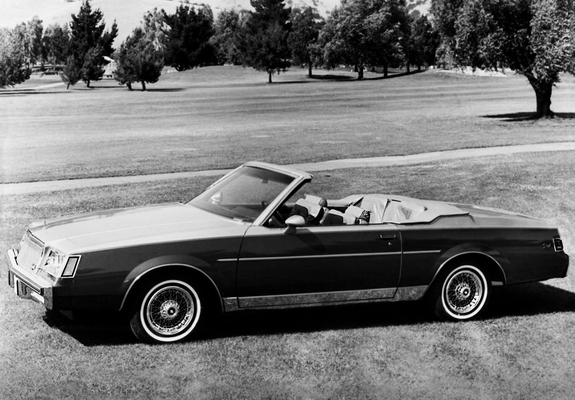 Buick Regal Tiara Convertible by Classic Group 1982 pictures