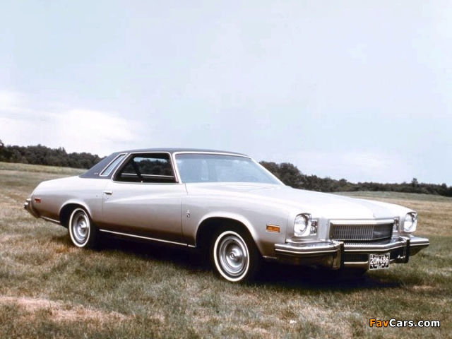 Images of Buick Century Regal Colonnade Hardtop Coupe (4AJ57) 1974 (640 x 480)