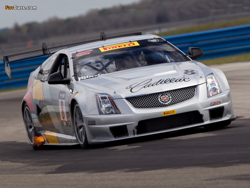 Cadillac CTS-V Coupe Race Car 2011 wallpapers (800 x 600)