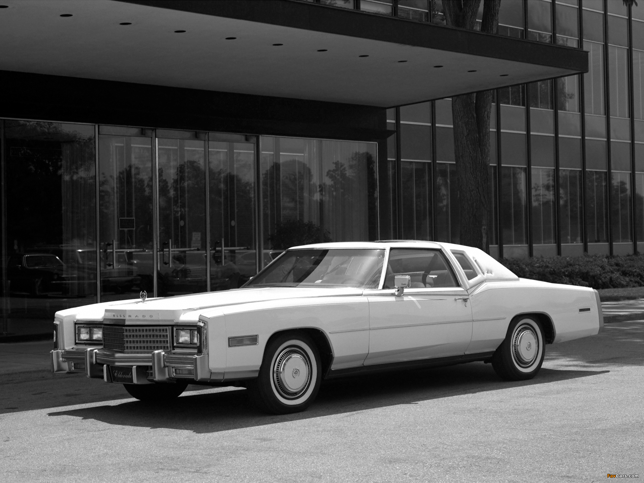 Images of Cadillac Eldorado Coupe 1978 (2048 x 1536)