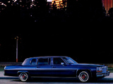 Cadillac Fleetwood Formal Limousine 1980 pictures