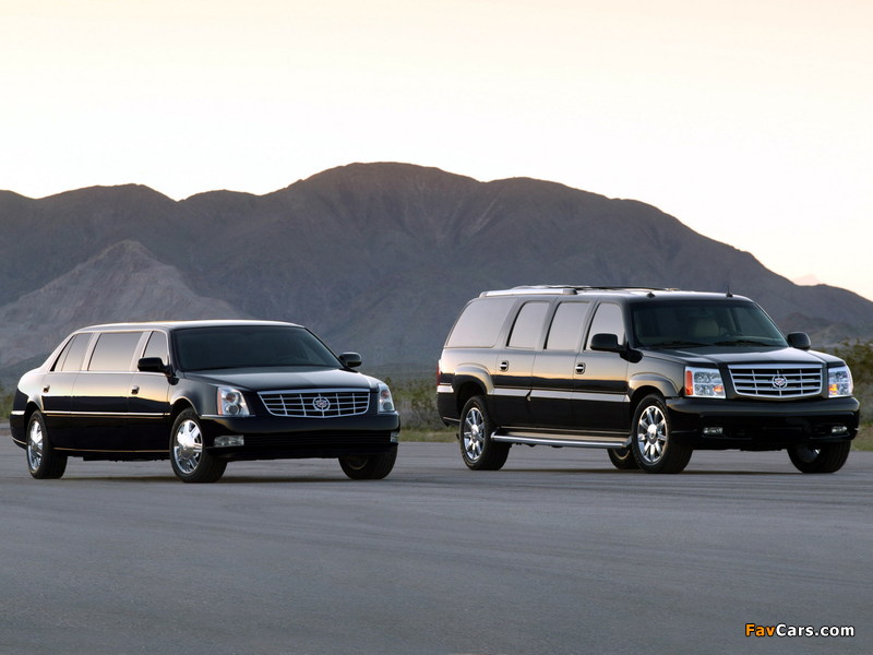 Pictures of Cadillac DTS Limousine & Escalade ESVe Limousine 2006 (800 x 600)