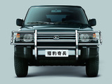 Images of Changfeng Leopard (CFA6470F)