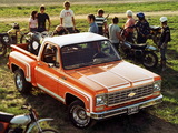 Chevrolet C10 1976 pictures