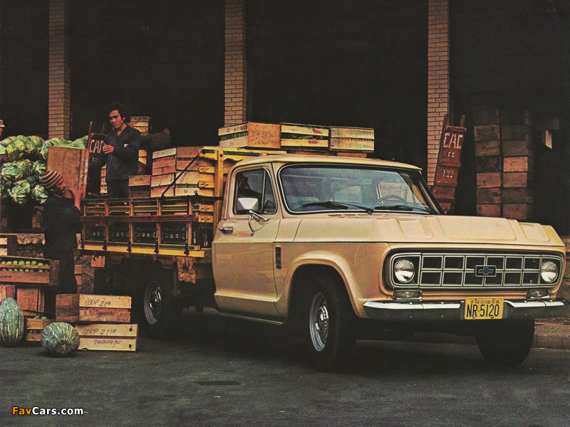 Chevrolet D-10 1979 images (800 x 600)