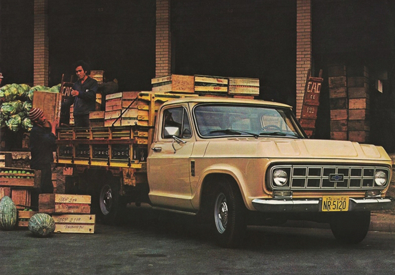 Chevrolet D-10 1979 images