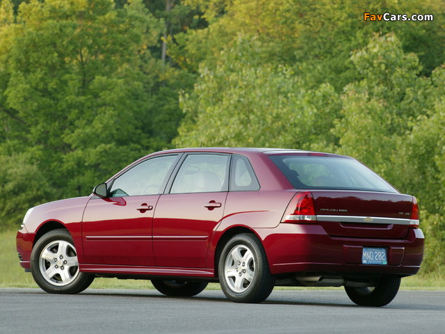 Pictures of Chevrolet Malibu Maxx 2004–06 (640 x 480)
