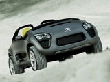Pictures of Citroën C-Buggy Concept 2006