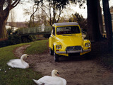Citroën Dyane 1967–84 photos
