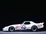 Greenwood Corvette IMSA Road Racing GT (C3) 1974–75 photos