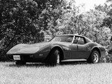 Corvette Stingray (C3) 1974–76 photos