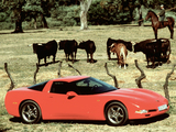 Pictures of Corvette Coupe EU-spec (C5) 1997–2004