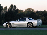 Corvette Z06 White Shark Concept (C5) 2002 images