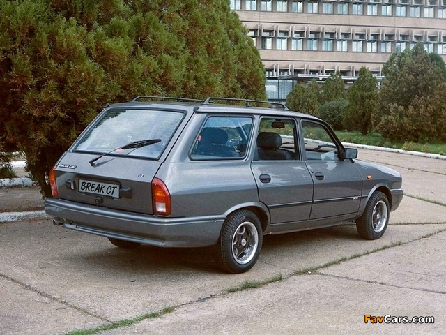 Dacia 1310 Break CT 1998–2004 pictures (640 x 480)
