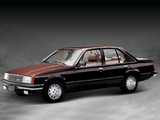 Daewoo Royale XQ 1982–89 images
