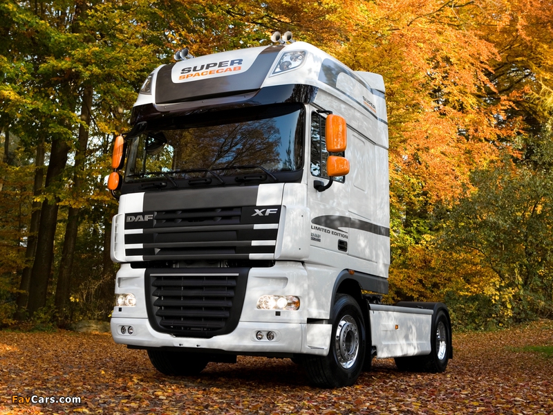 DAF XF105 White Edition 2009 wallpapers (800 x 600)