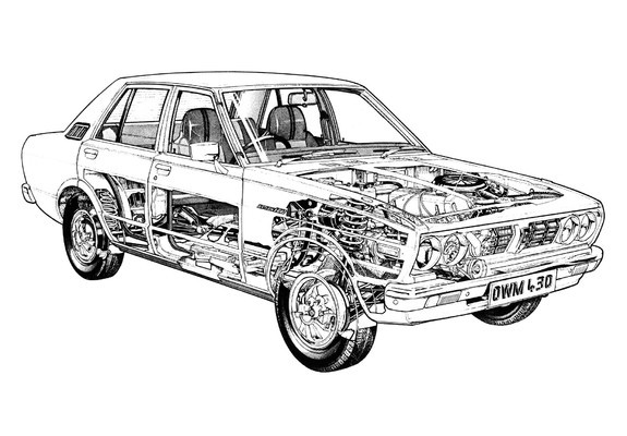 Pictures of Datsun Violet 160J (A10) 1977–81
