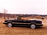 Images of Dodge Aries Convertible by Con-Tec 1981–82