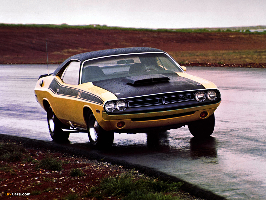 Dodge Challenger T/A 1971 pictures (1024 x 768)