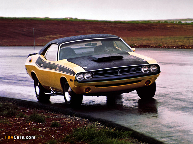Dodge Challenger T/A 1971 pictures (640 x 480)