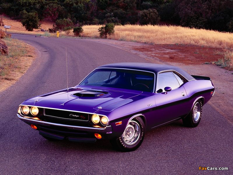 Pictures of Dodge Challenger R/T 1970 (800 x 600)