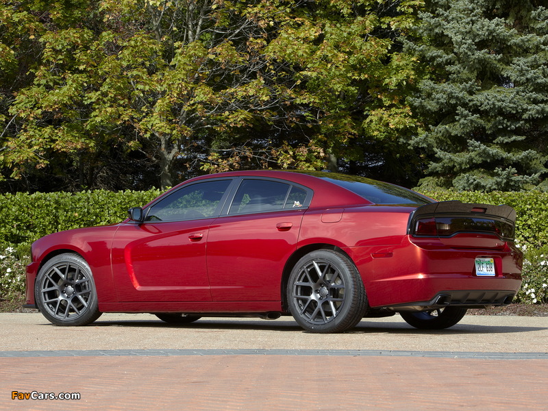 Dodge Charger R/T Scat Package 3 2014 pictures (800 x 600)