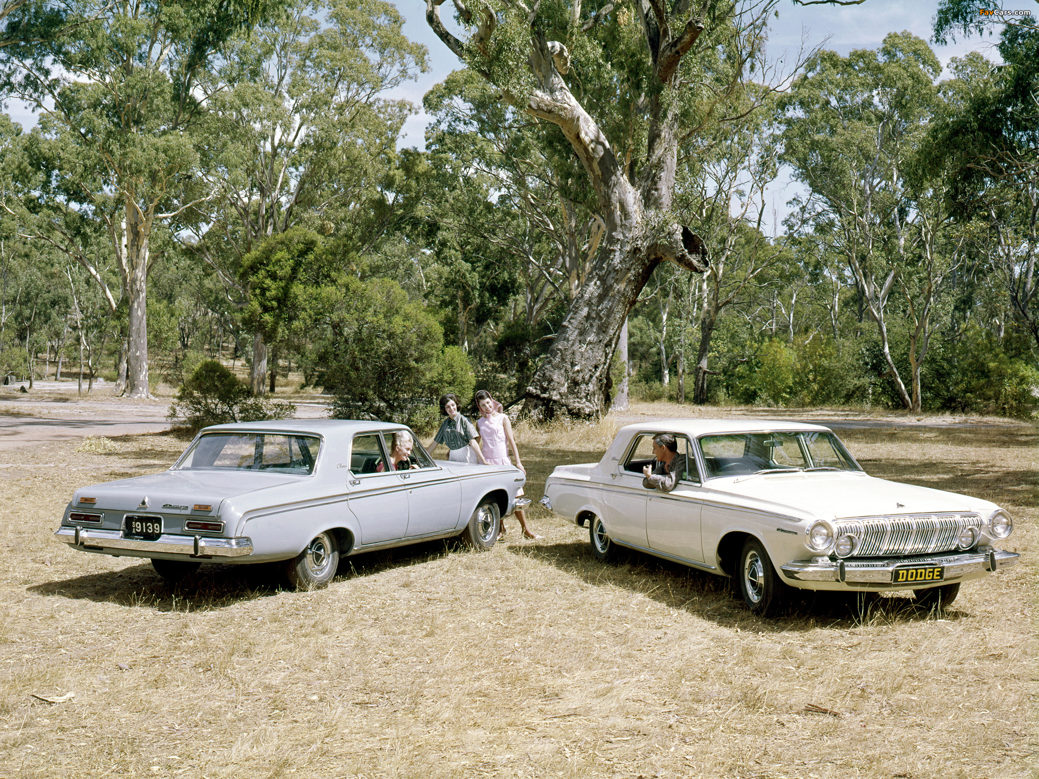 Pictures of Dodge Phoenix (TD2) 1963–64 (2048 x 1536)