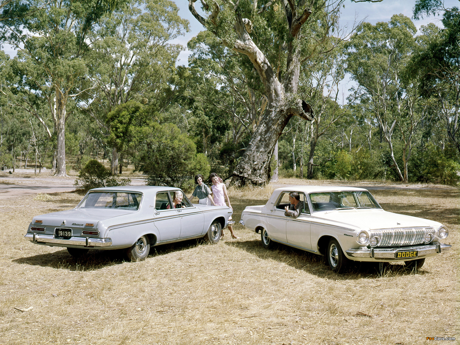Pictures of Dodge Phoenix (TD2) 1963–64 (1600 x 1200)