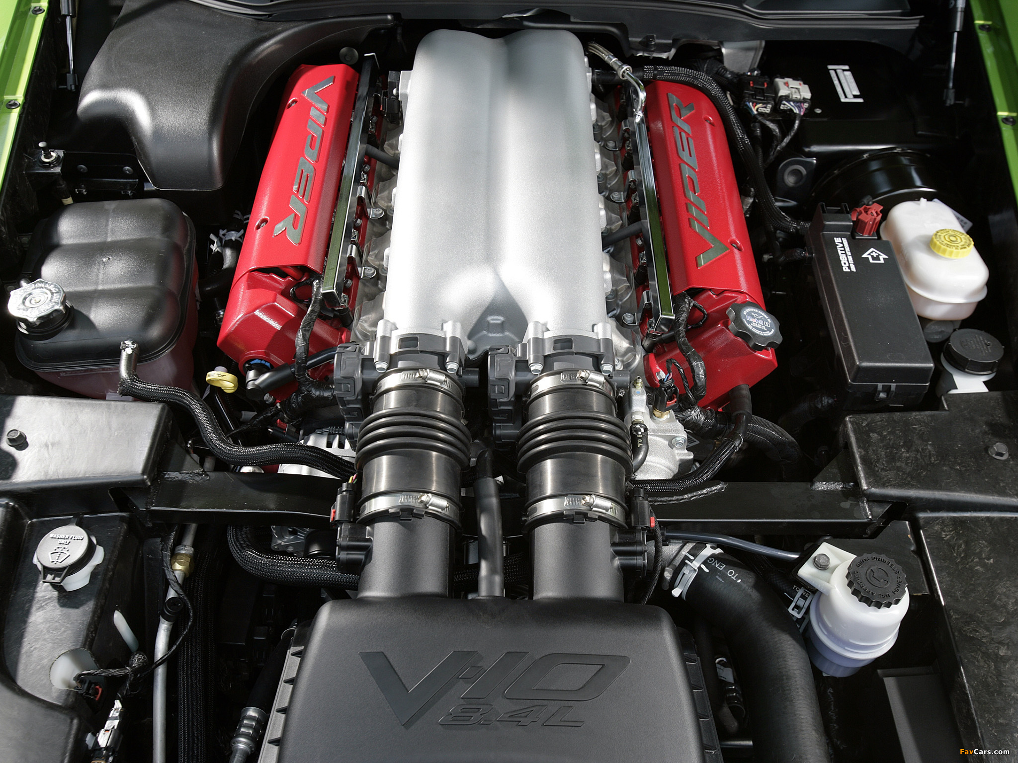Photos of Dodge Viper SRT10 Roadster 2008–10 (2048 x 1536)