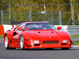 Ferrari 288 GTO Evoluzione 1987 images