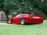 Ferrari 288 GTO Evoluzione 1987 photos
