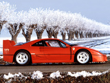 Ferrari F40 1987–92 pictures