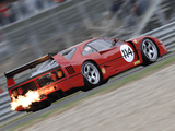 Ferrari F40 LM 1988–94 pictures