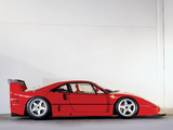 Ferrari F40 LM 1988–94 wallpapers