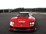 Pictures of Ferrari F40 LM 1988–94