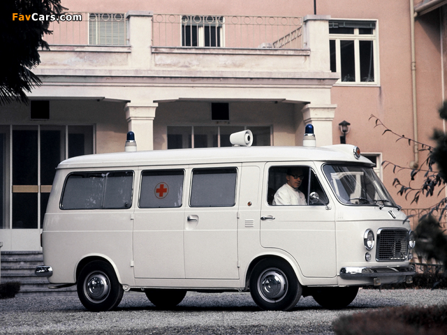 Photos of Fiat 238 Ambulance 1968–78 (640 x 480)