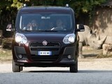 Pictures of Fiat Doblò (263) 2010