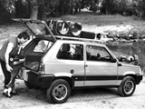 Fiat Panda 4x4 (153) 1991–2003 photos