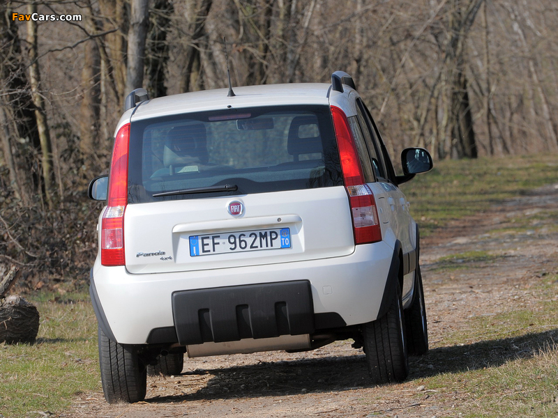 Images of Fiat Panda 4x4 Climbing (169) 2009–12 (800 x 600)