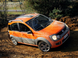 Pictures of Fiat Panda 4x4 Cross (169) 2006–12