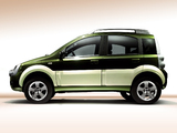Pictures of Fiat Panda 4x4 Cross (169) 2006–12